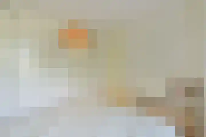 Nobel 22 Mijdrecht thumbnail 15