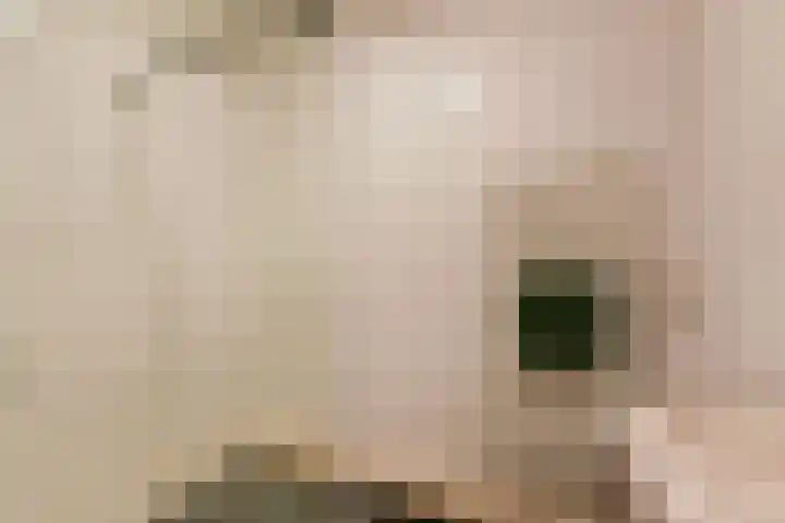 Nobel 22 Mijdrecht thumbnail 18
