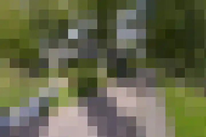 Nobel 22 Mijdrecht thumbnail 20