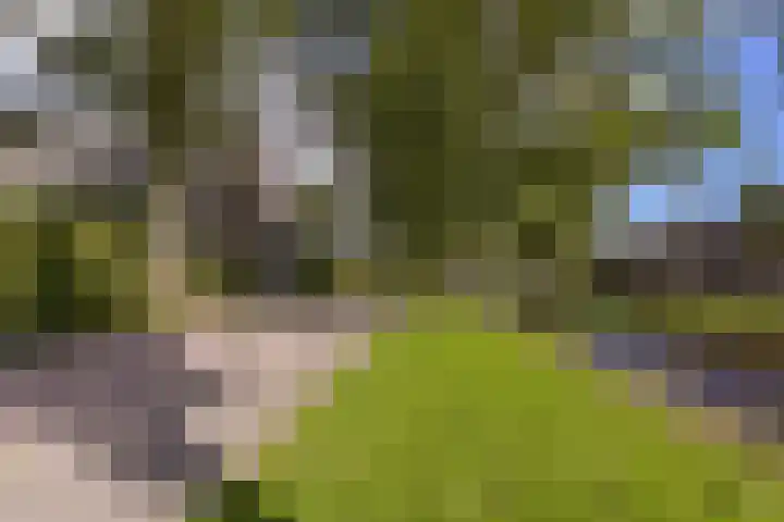 Nobel 22 Mijdrecht thumbnail 21
