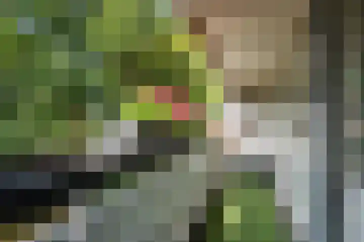 Nobel 31 Mijdrecht thumbnail 4