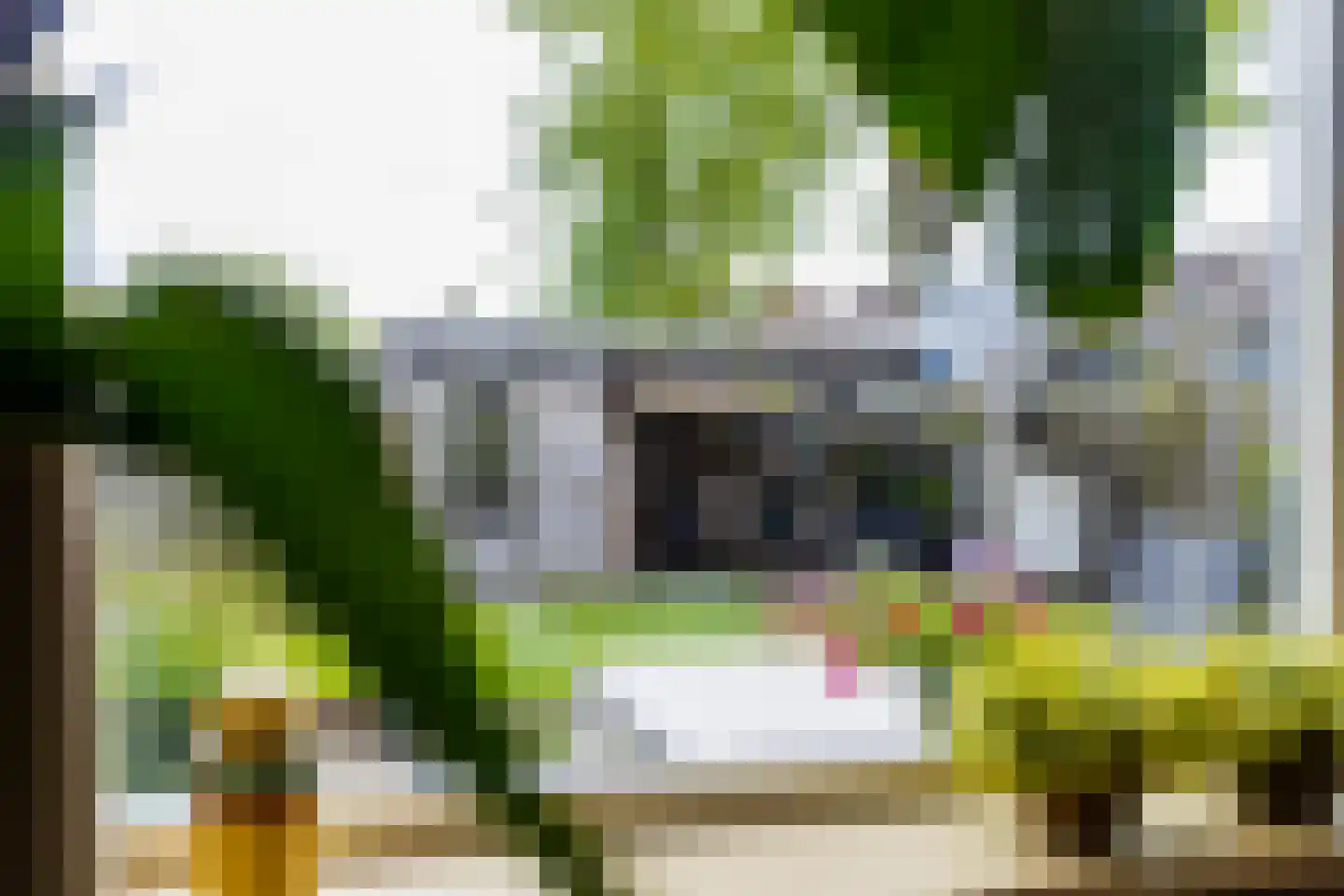Nobel 39 Kollum thumbnail 19