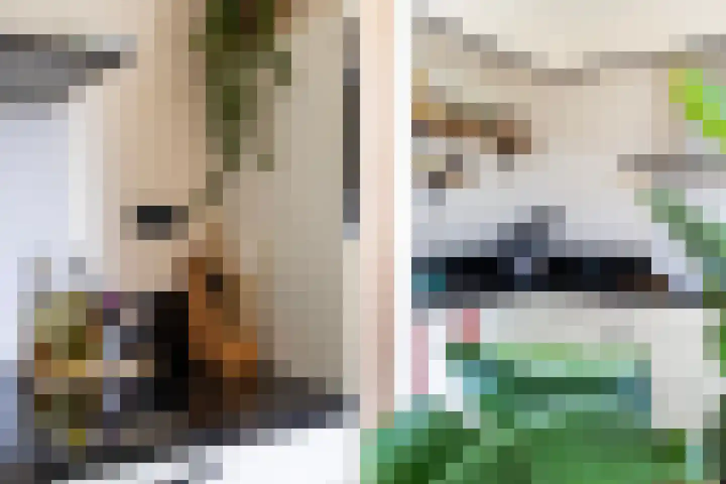 Nobel 39 Kollum thumbnail 24