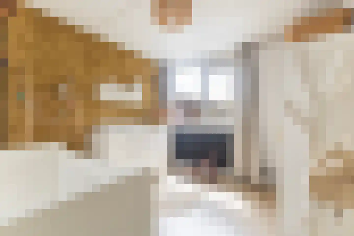 Nobel 39 Kollum thumbnail 34