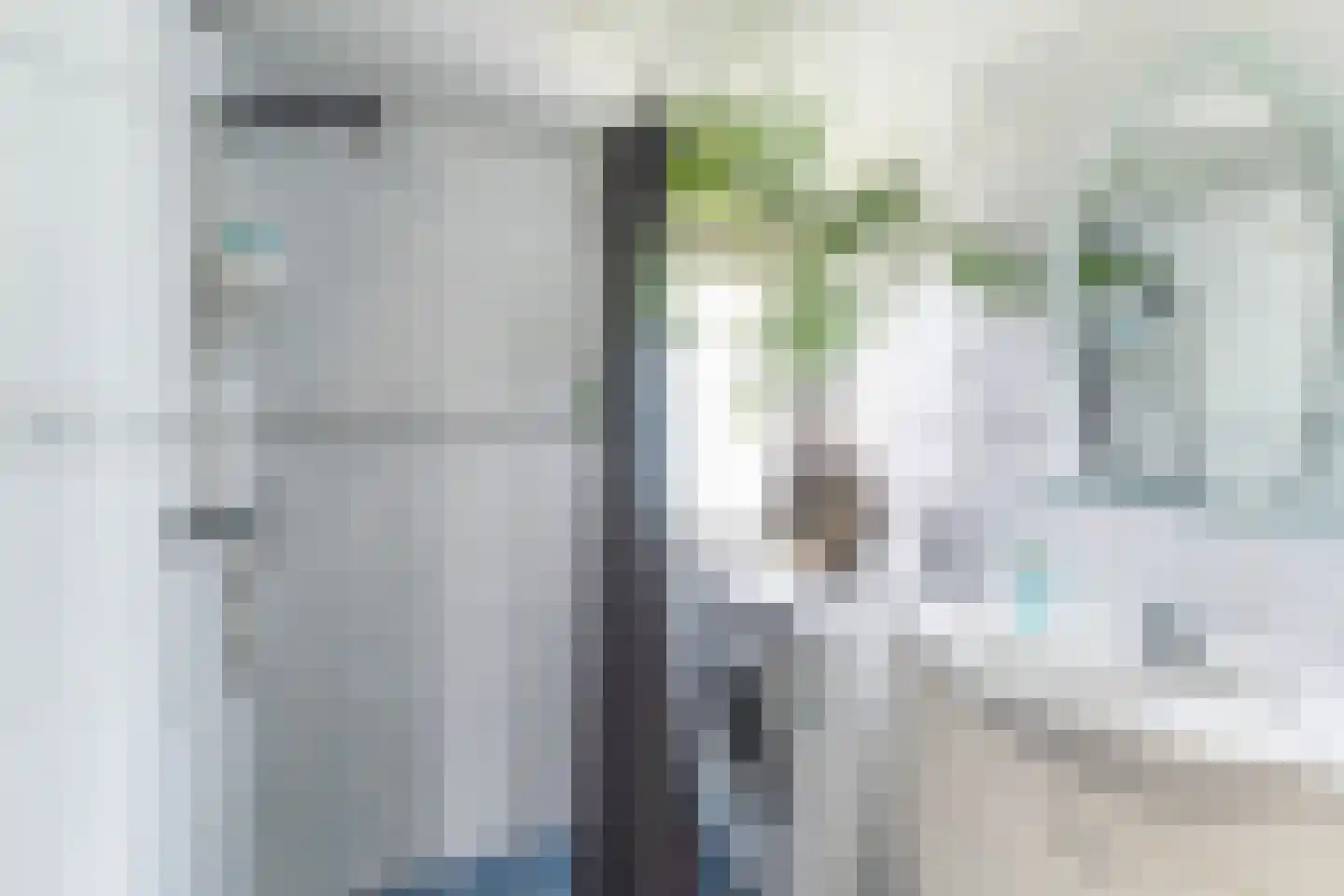 Nobel 39 Kollum thumbnail 37