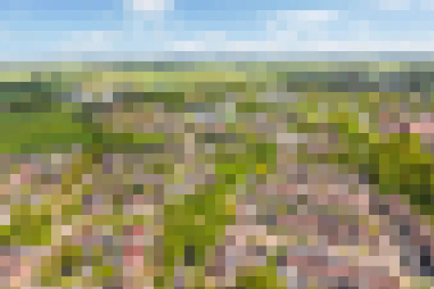 Nobel 39 Kollum thumbnail 44