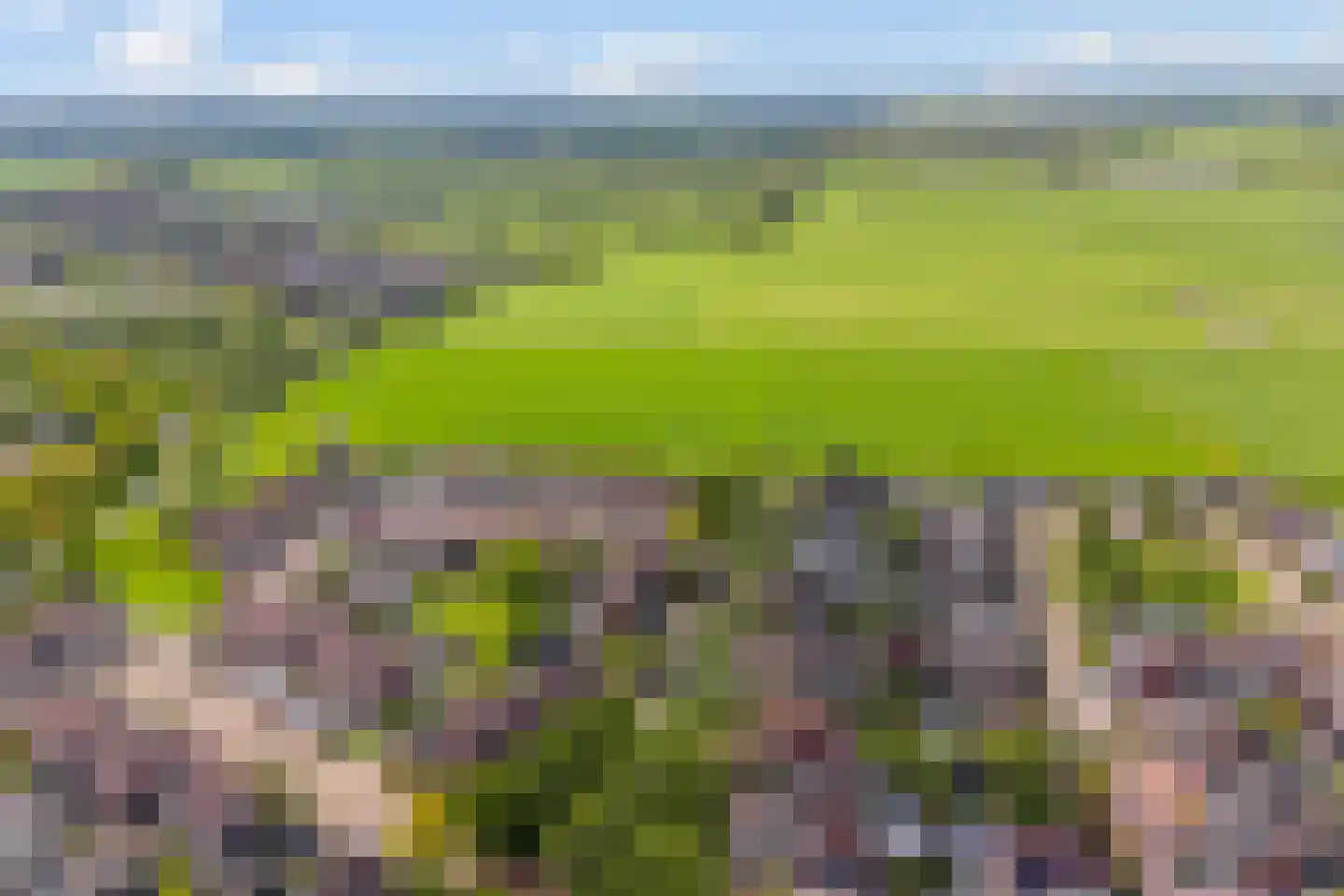 Nobel 39 Kollum thumbnail 45