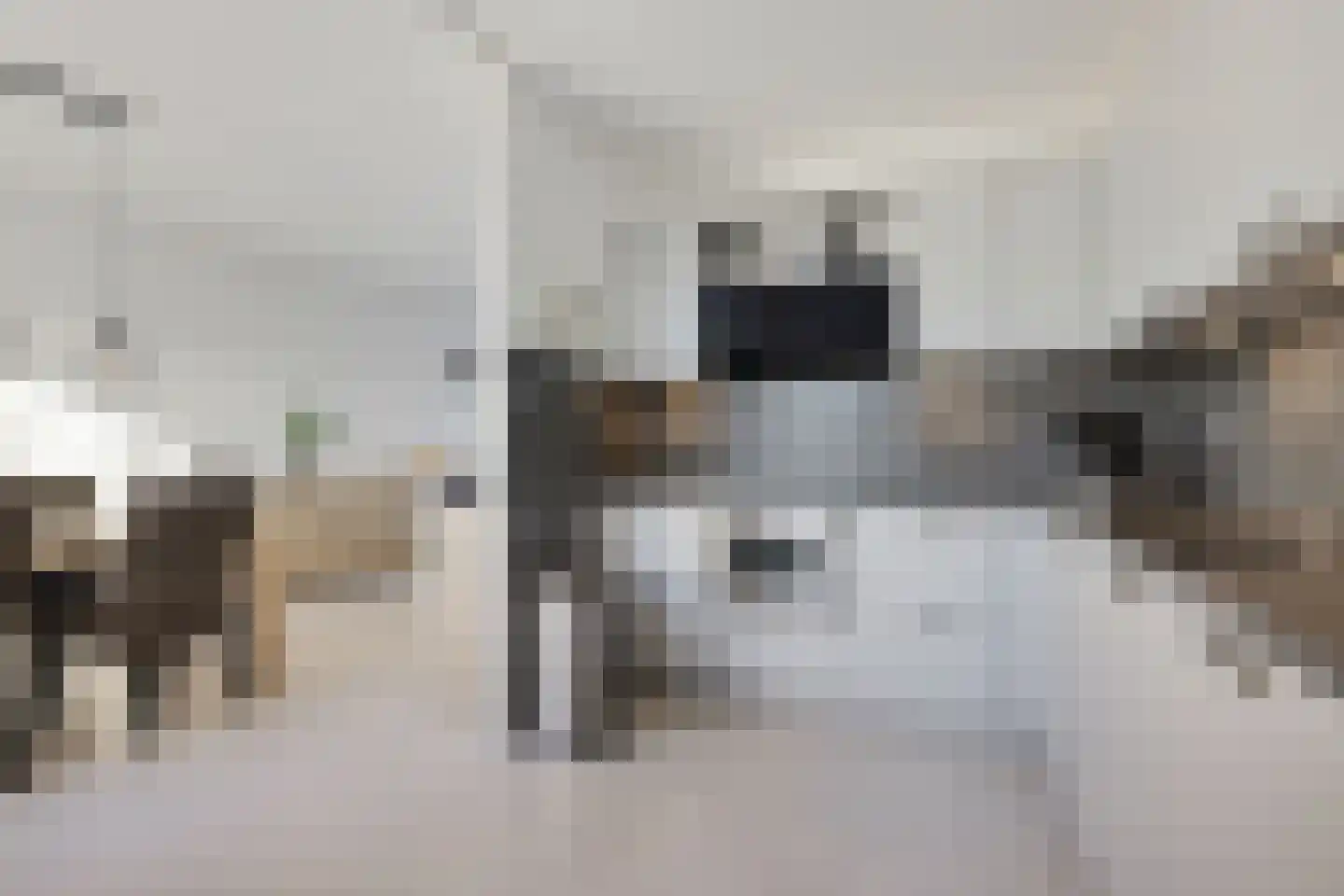 Nobel 41 Kollum thumbnail 10