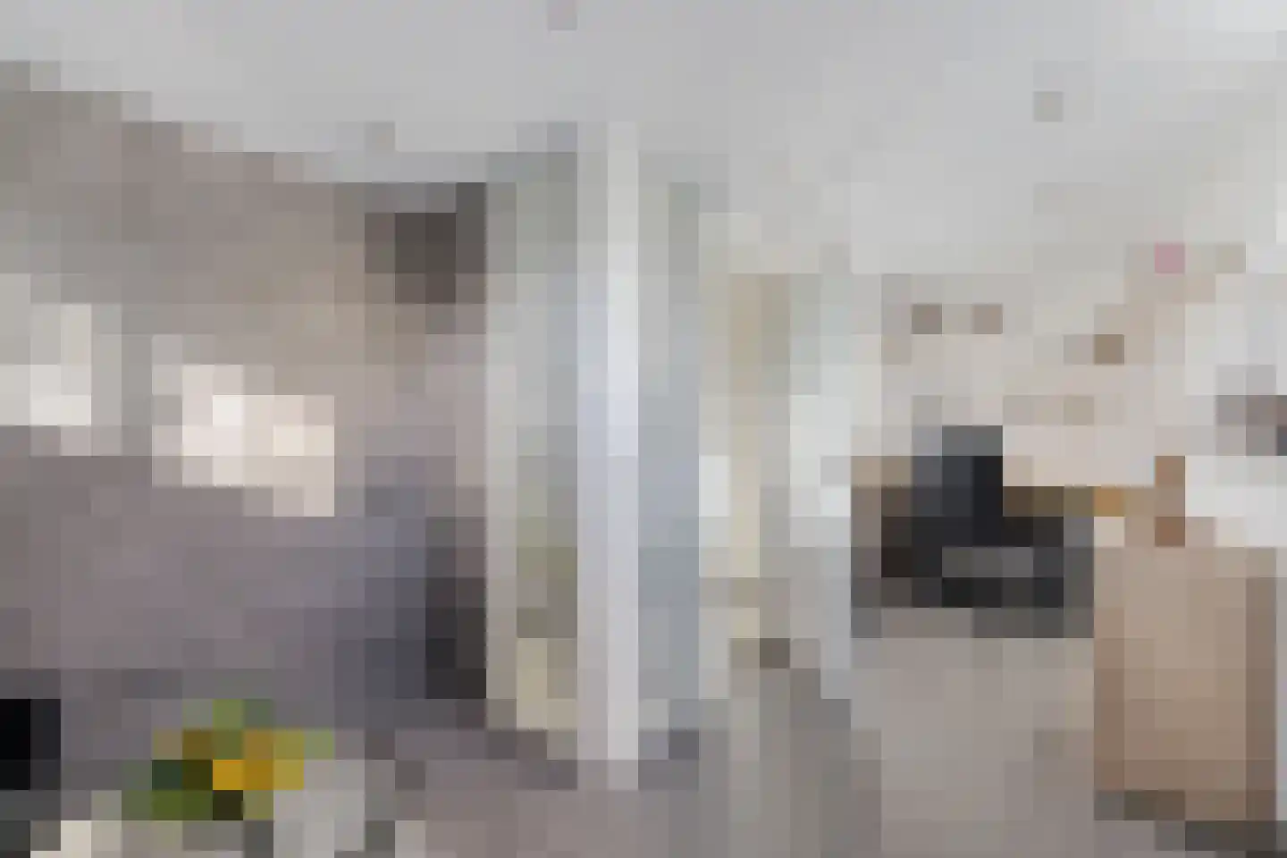 Nobel 41 Kollum thumbnail 14