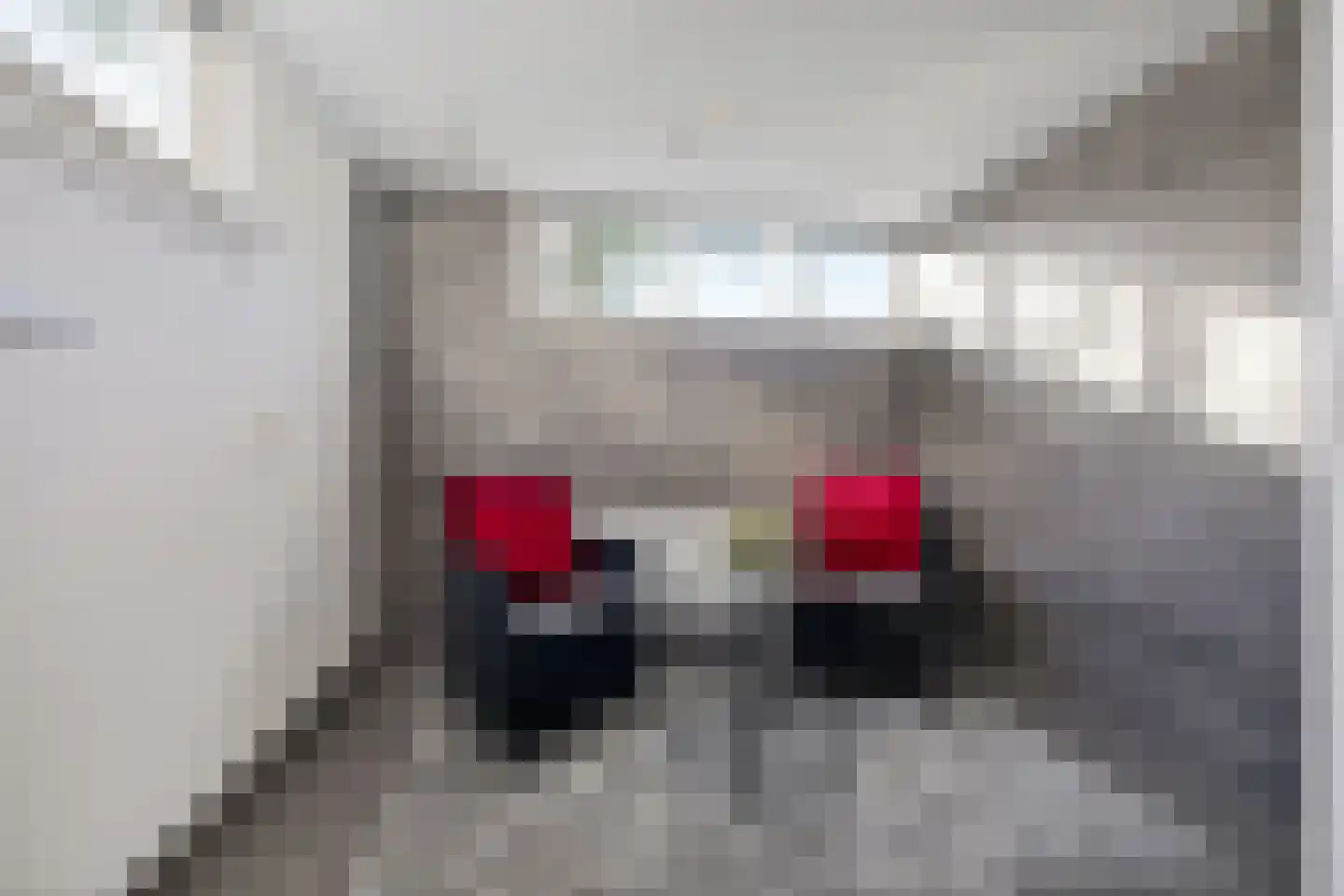 Nobel 41 Kollum thumbnail 15