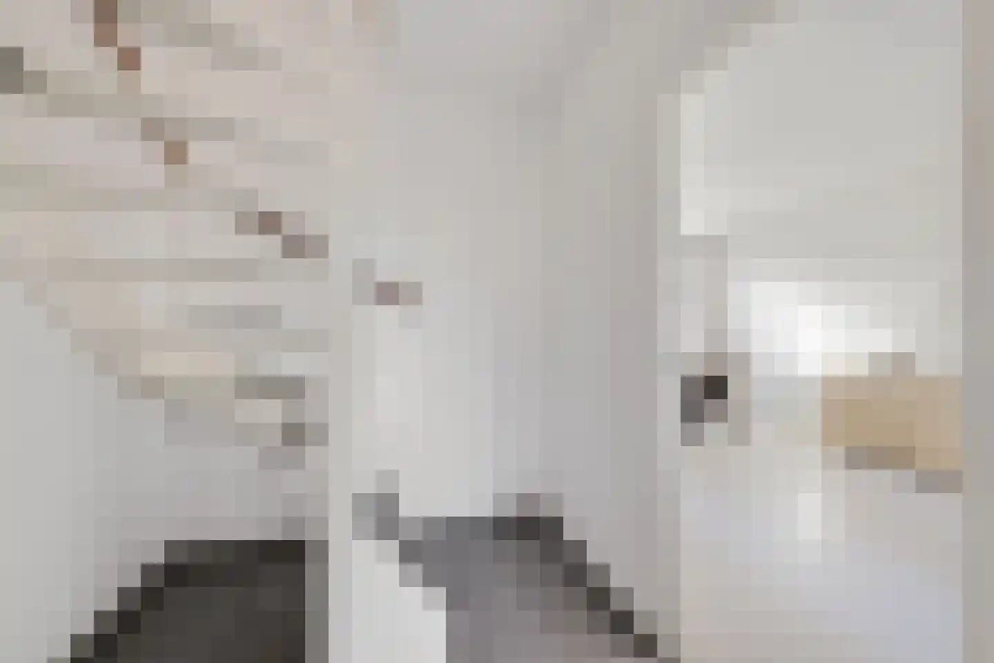 Nobel 41 Kollum thumbnail 18