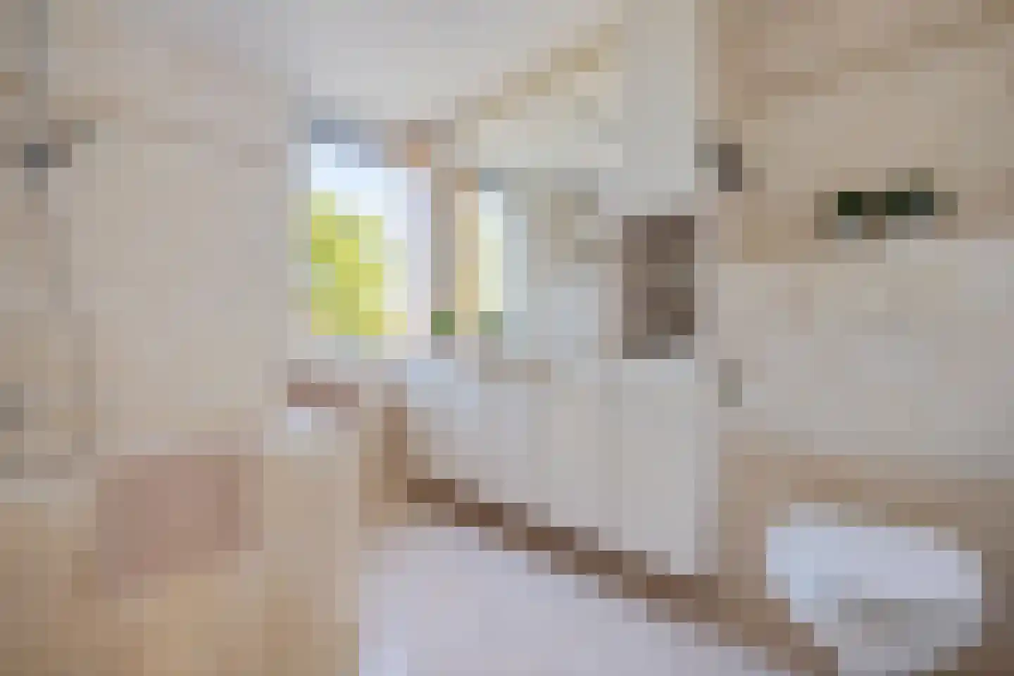 Nobel 41 Kollum thumbnail 25