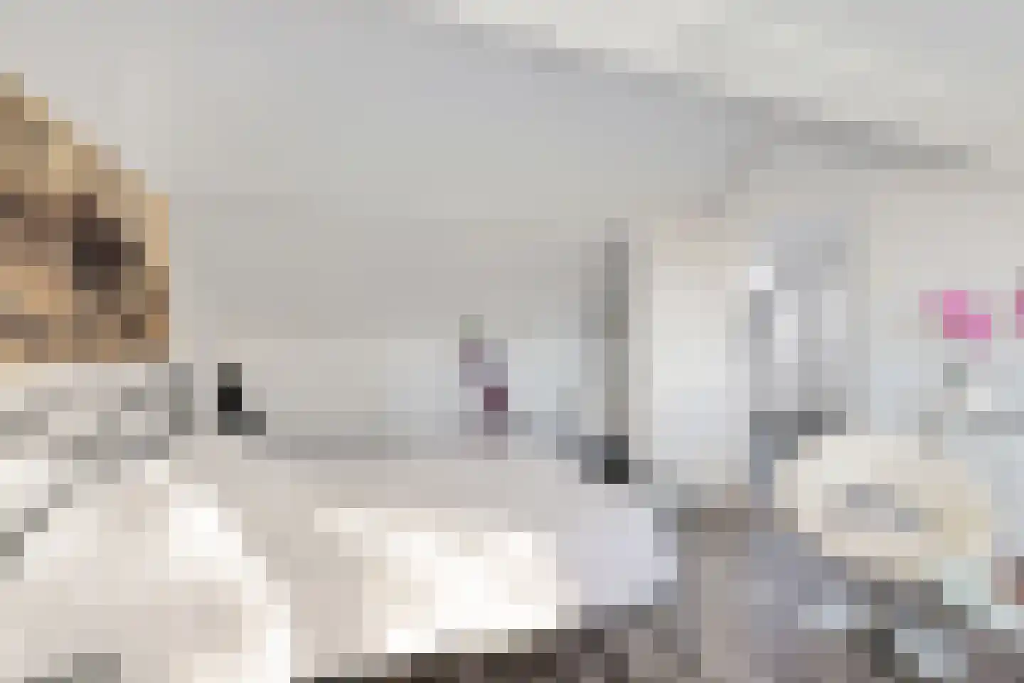 Nobel 41 Kollum thumbnail 29