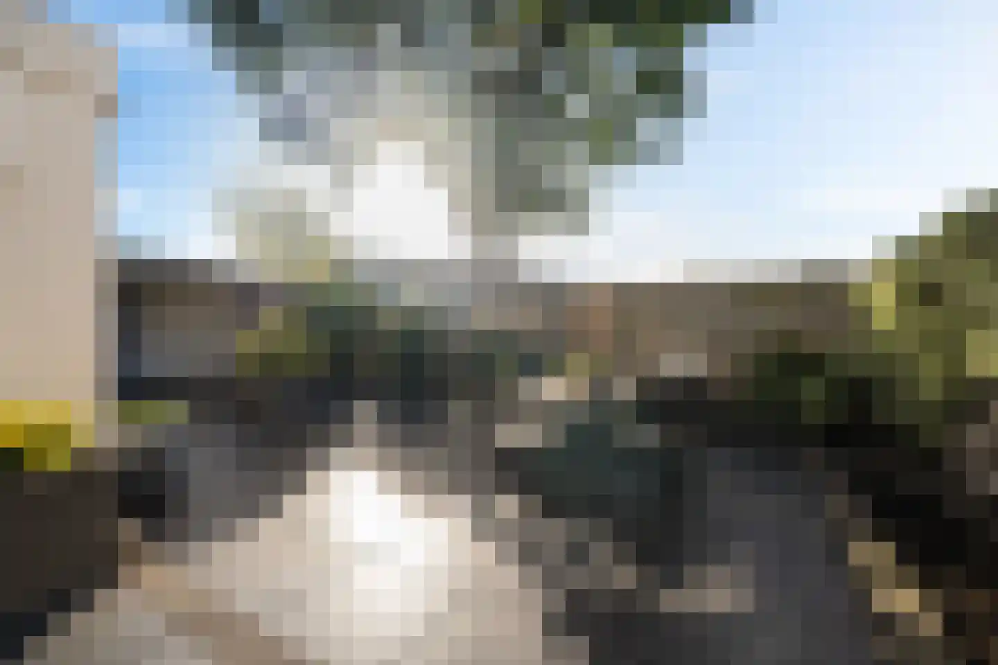 Nobel 41 Kollum thumbnail 32