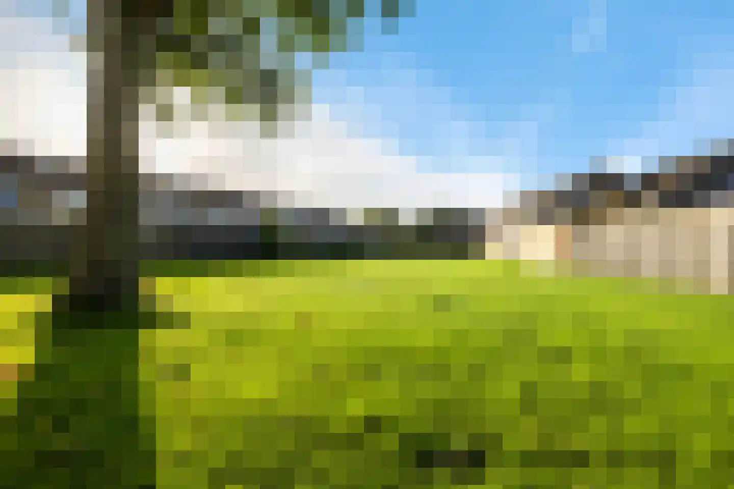 Nobel 41 Kollum thumbnail 39