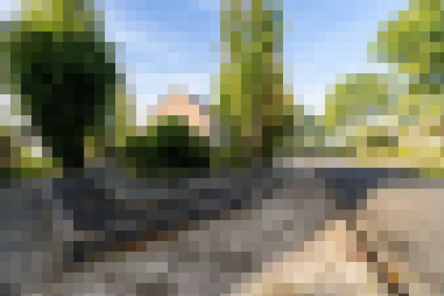 Nobel 41 Kollum thumbnail 40