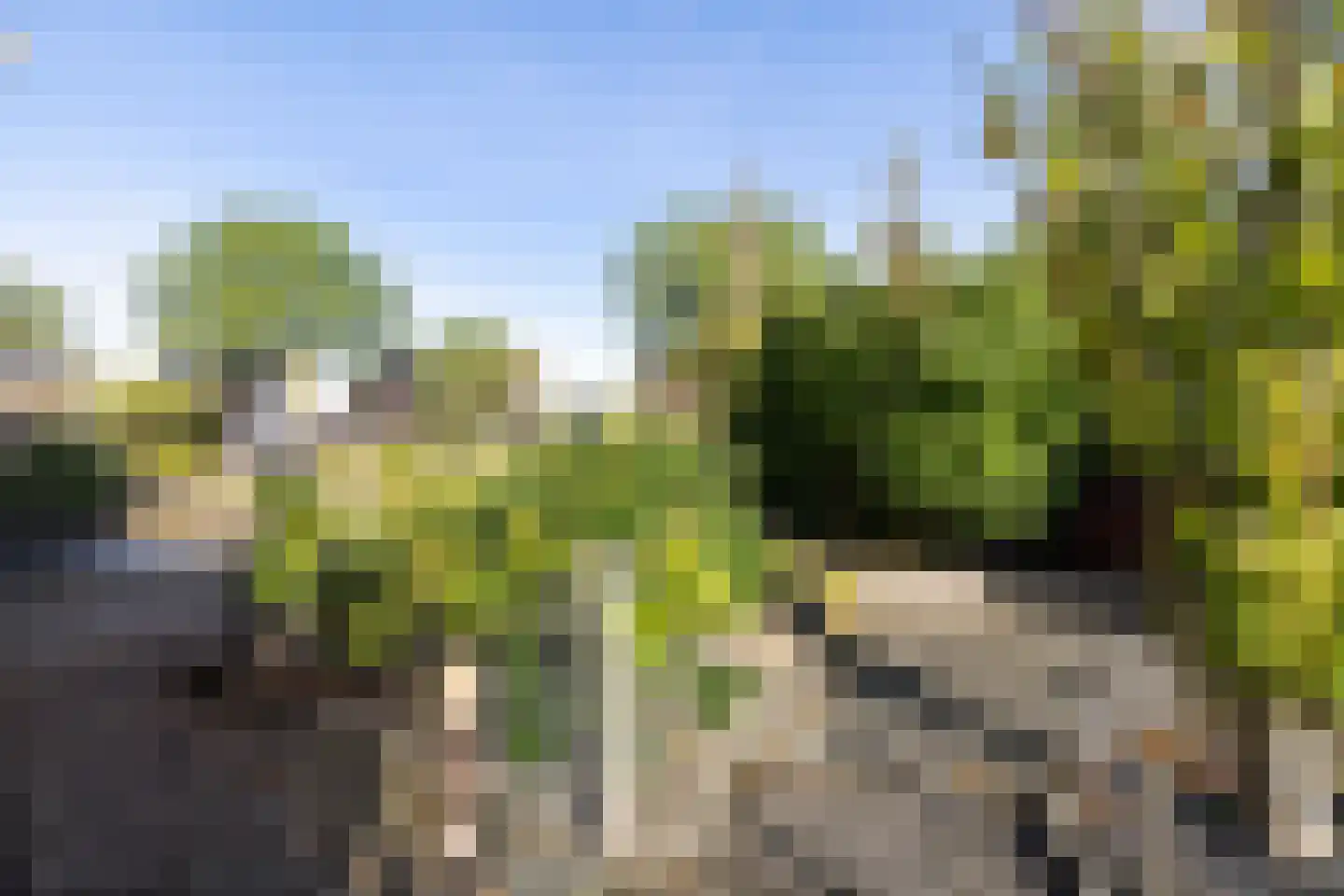 Nobel 41 Kollum thumbnail 41