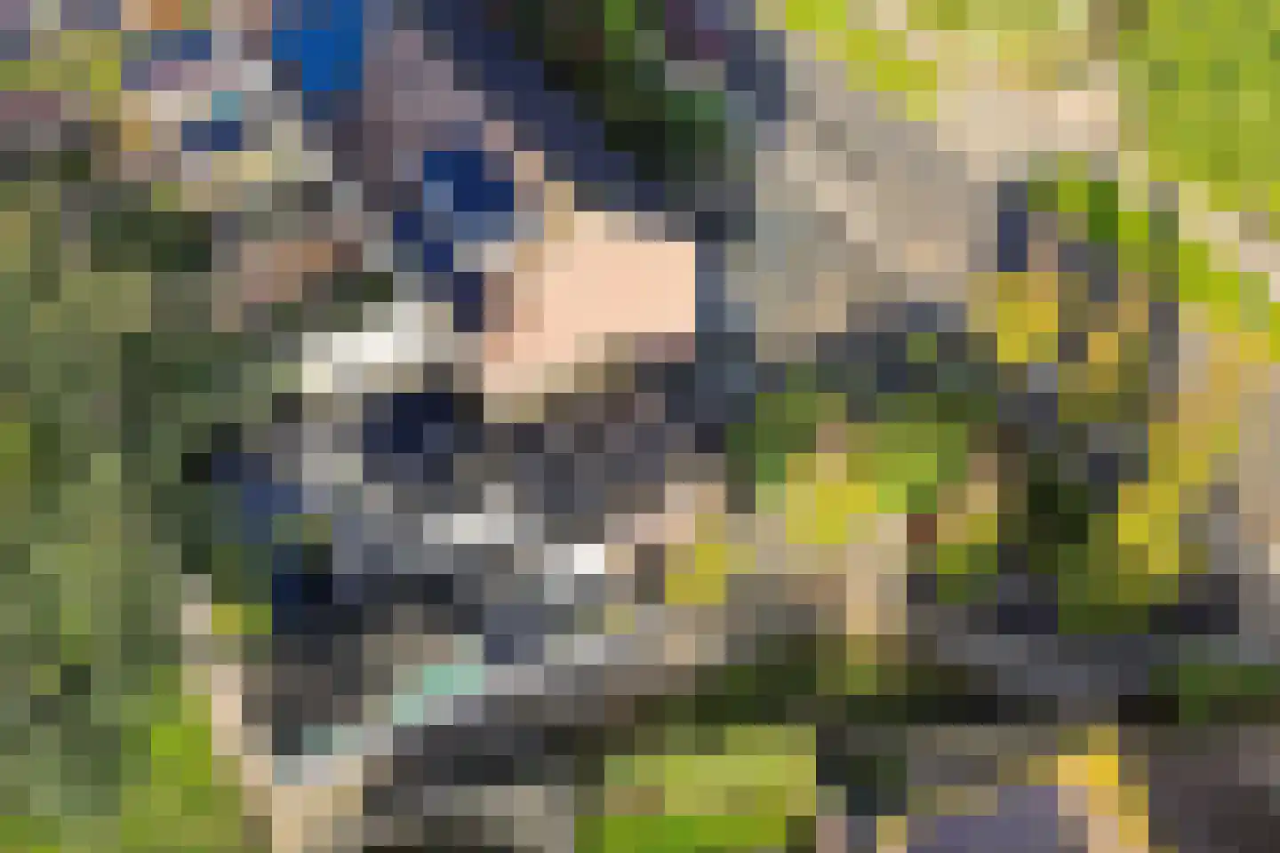Nobel 41 Kollum thumbnail 47