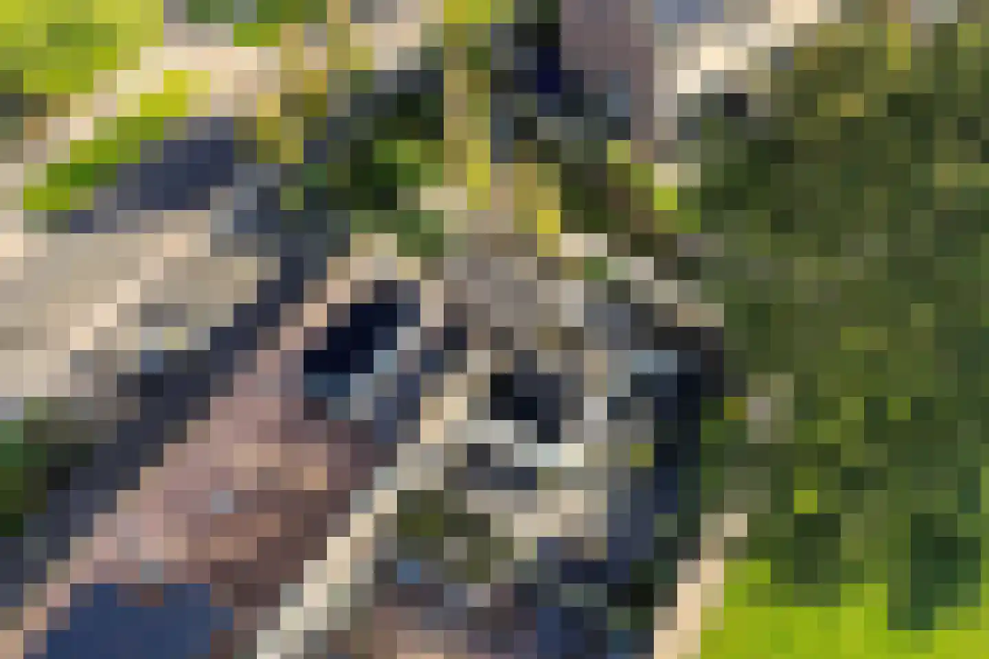 Nobel 41 Kollum thumbnail 48