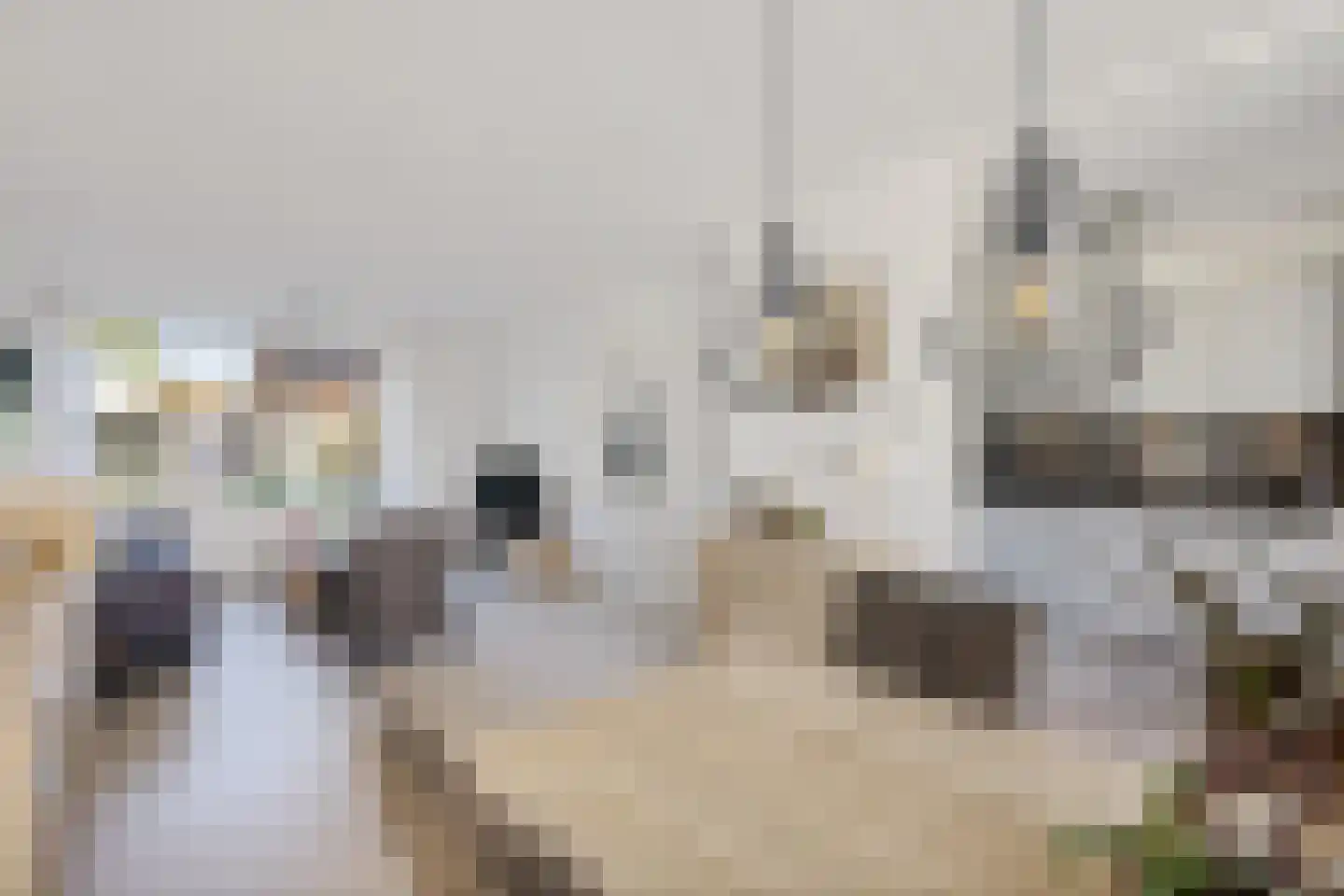 Nobel 41 Kollum thumbnail 9