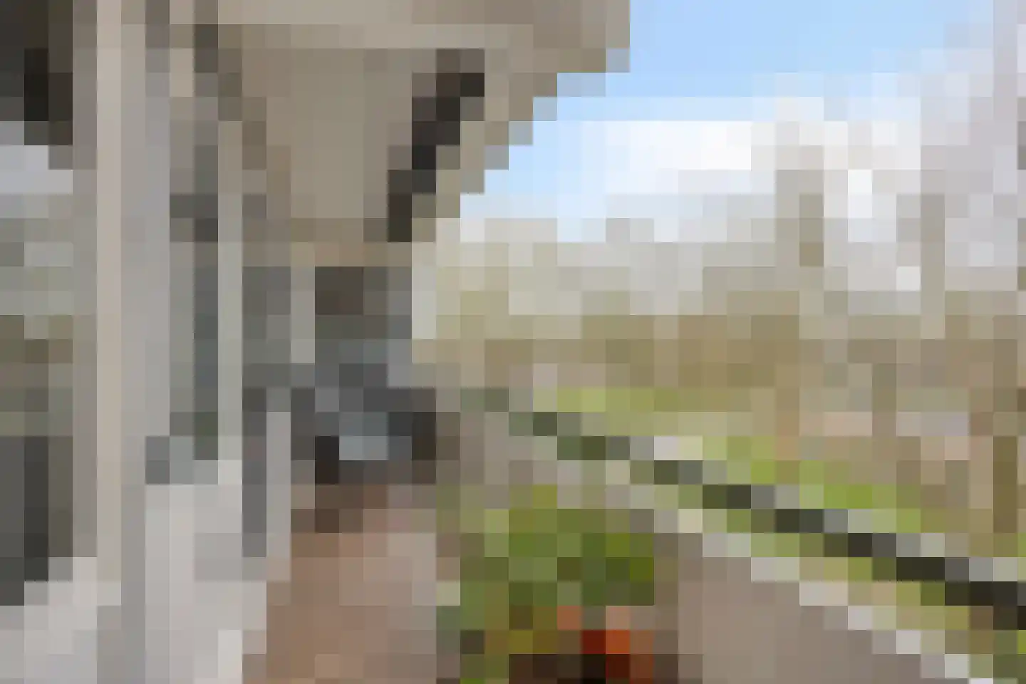Nobel 55 Mijdrecht thumbnail 18