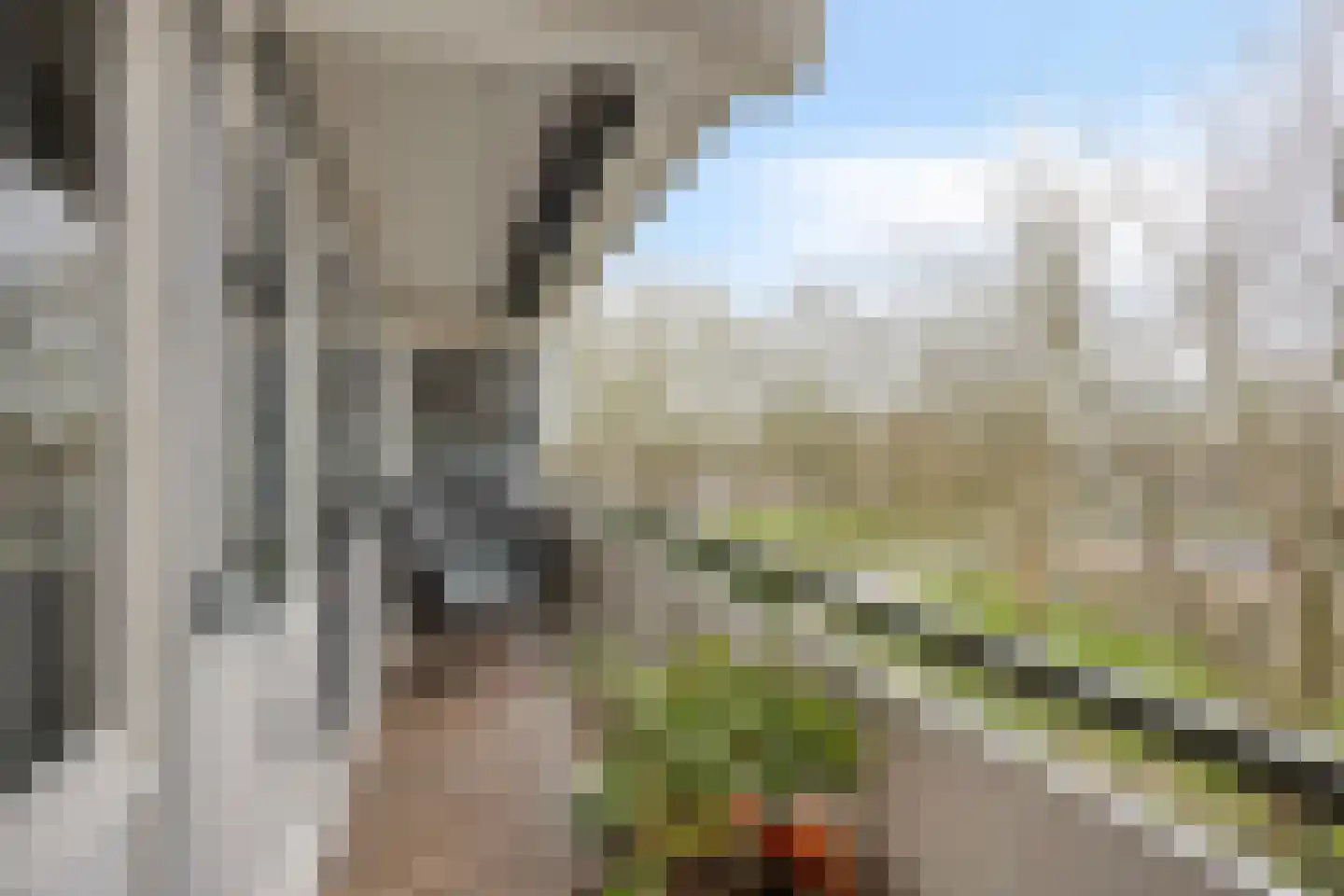 Nobel 55 Mijdrecht thumbnail 18