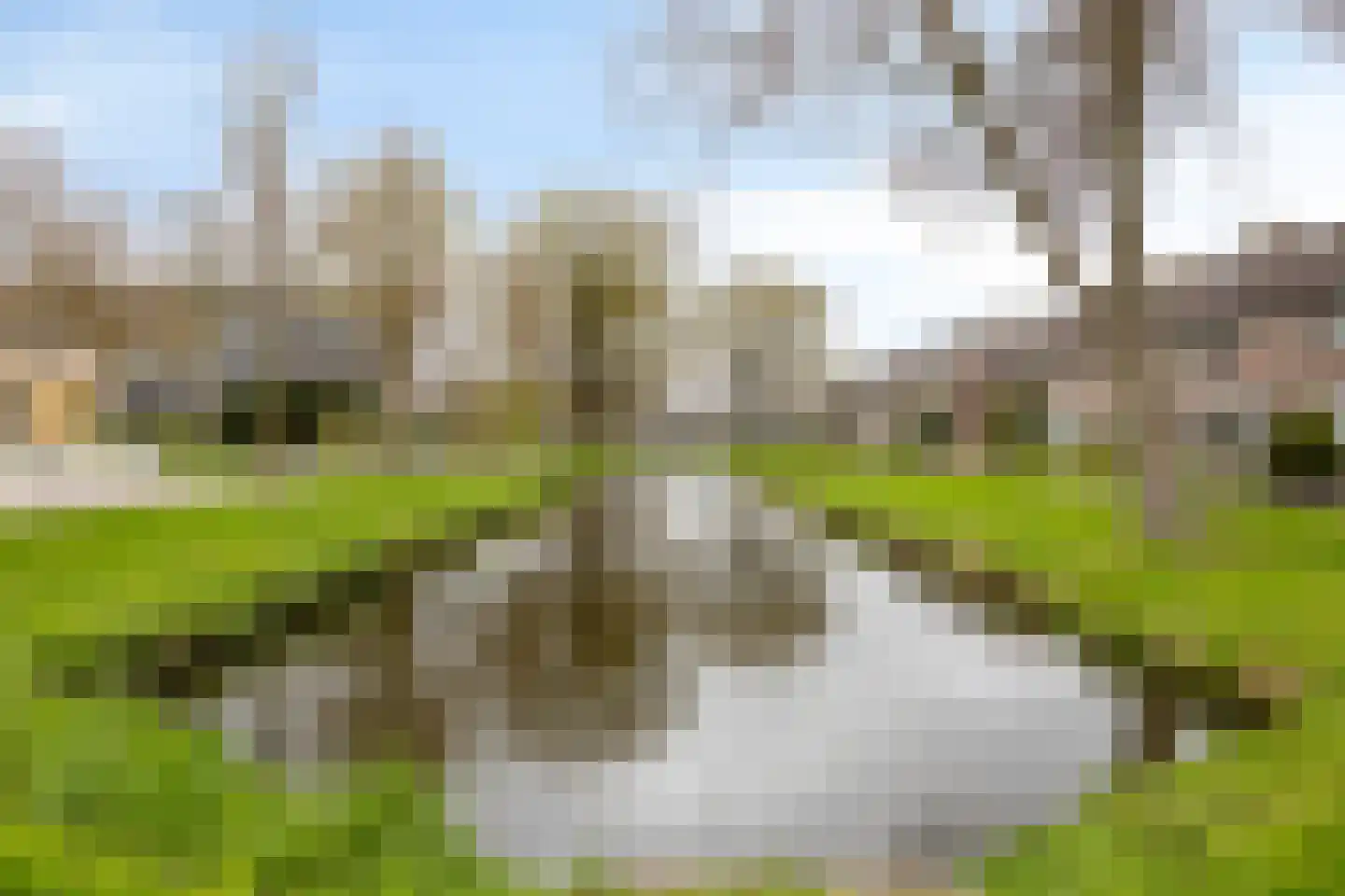 Nobel 55 Mijdrecht thumbnail 24