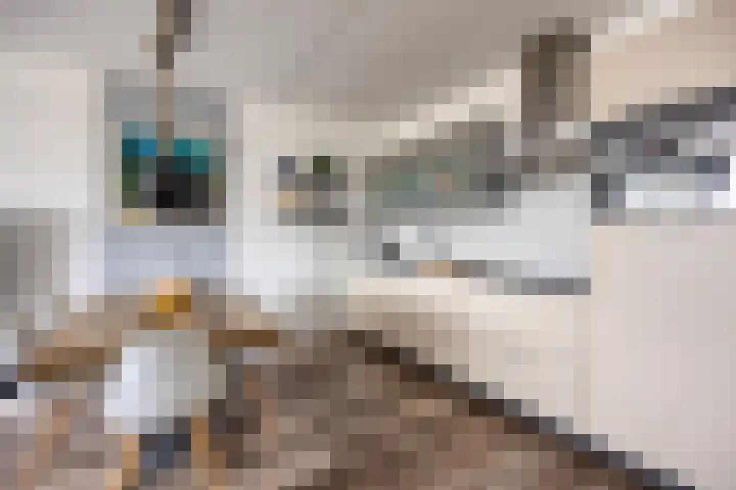 Nobel 55 Mijdrecht thumbnail 8
