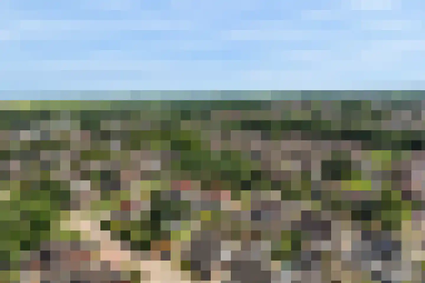 Nobel 56 Kollum thumbnail 36