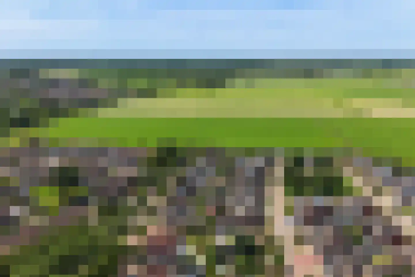 Nobel 56 Kollum thumbnail 37