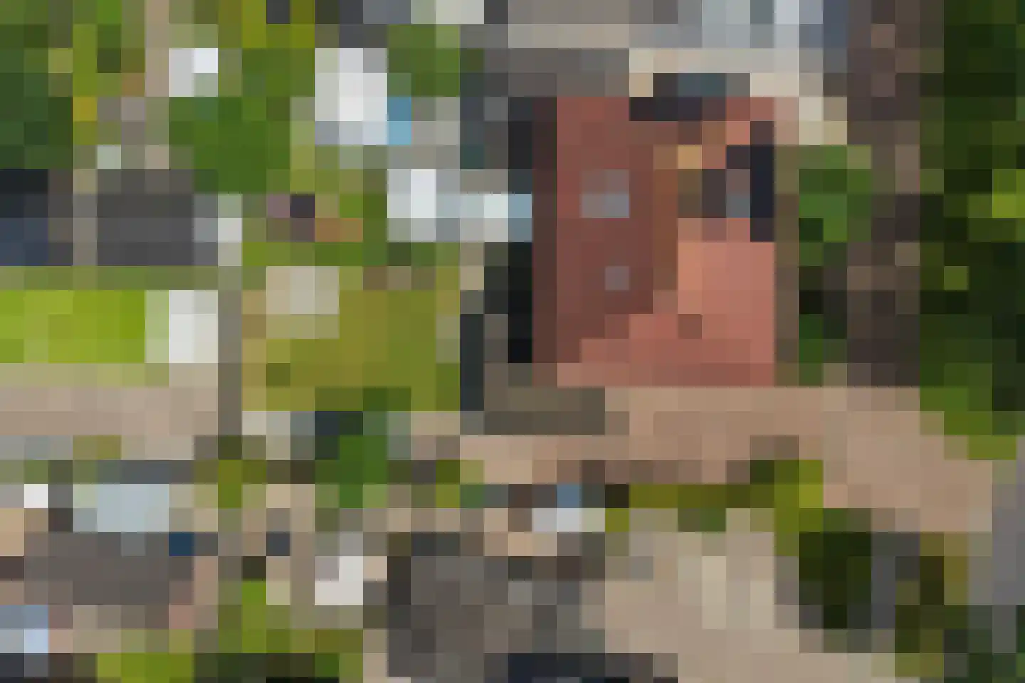 Nobel 56 Kollum thumbnail 4