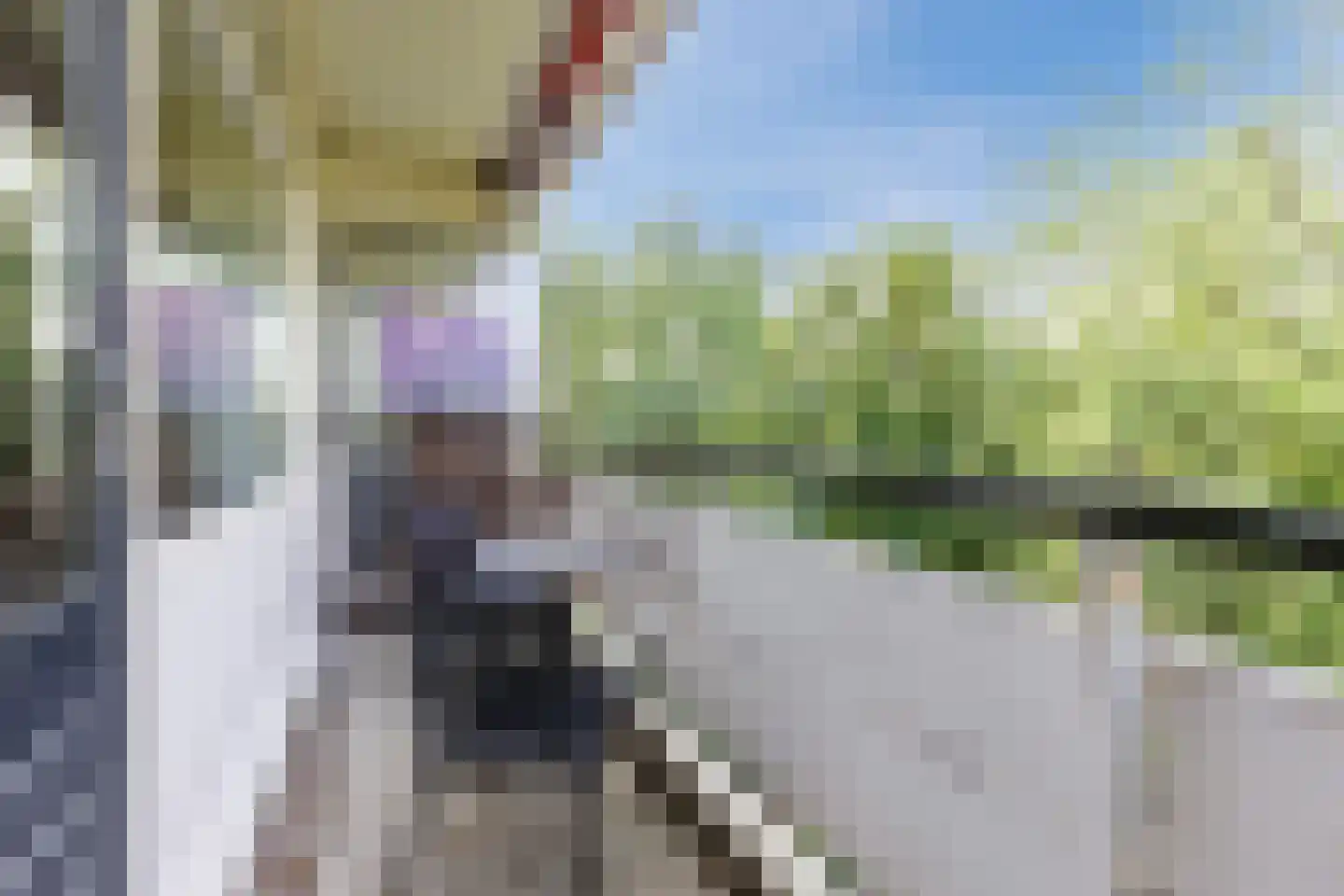 Nobel 72 Mijdrecht thumbnail 16