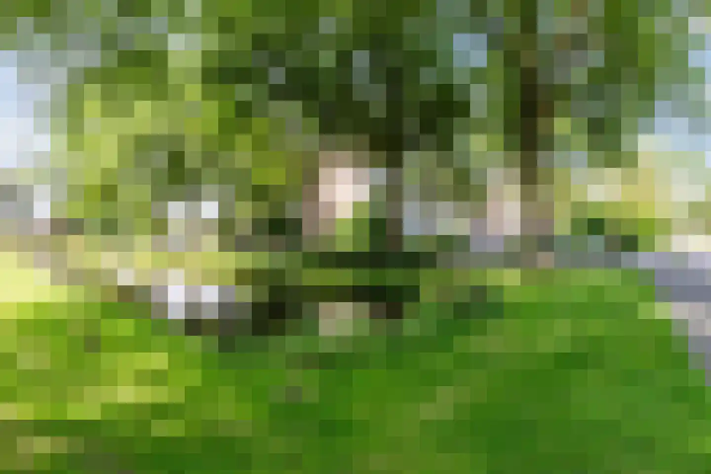 Nobel 72 Mijdrecht thumbnail 32