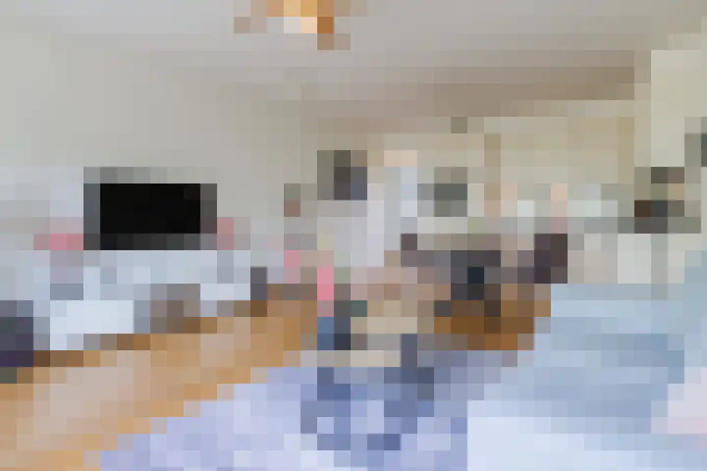 Nobel 72 Mijdrecht thumbnail 4