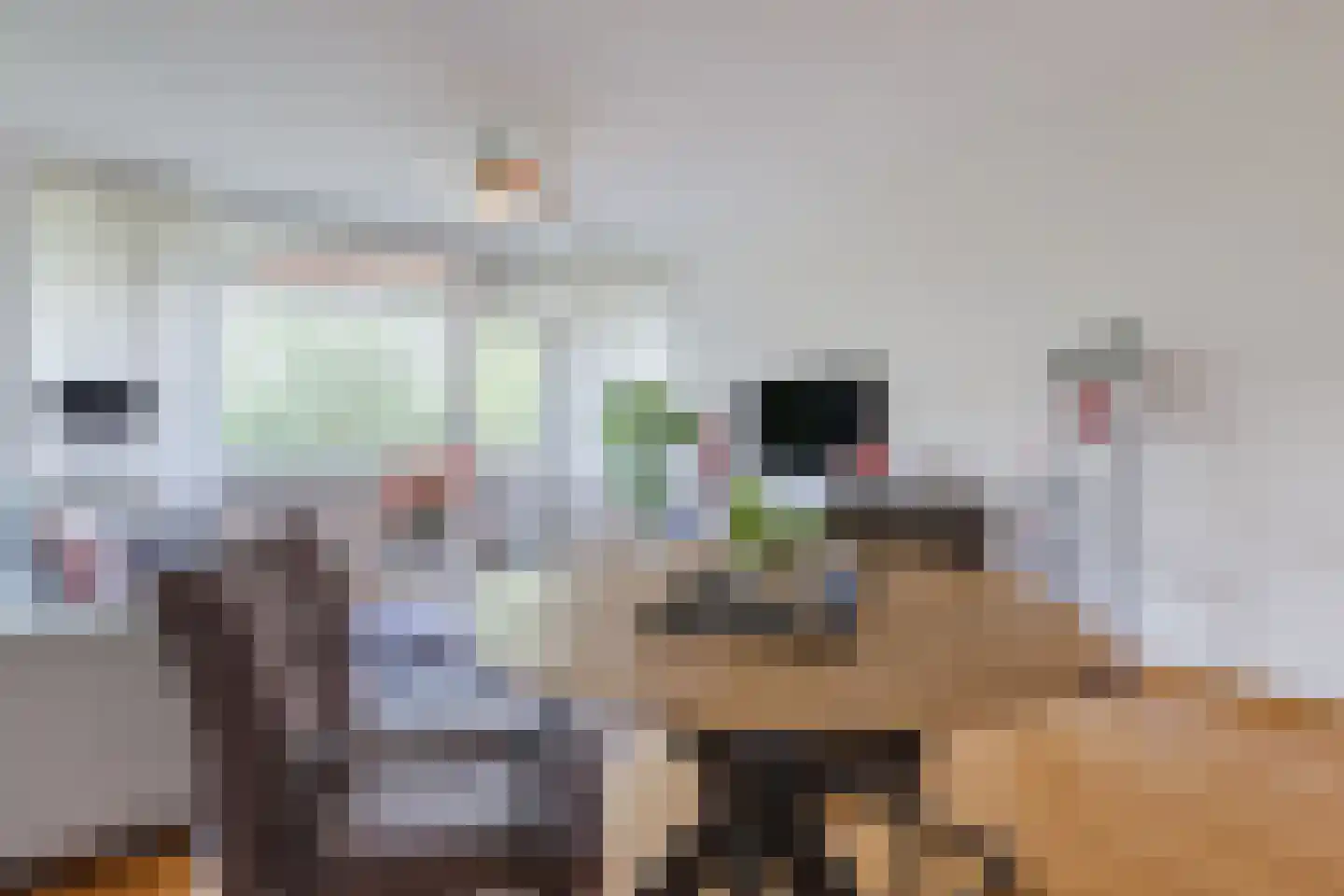 Nobel 72 Mijdrecht thumbnail 5