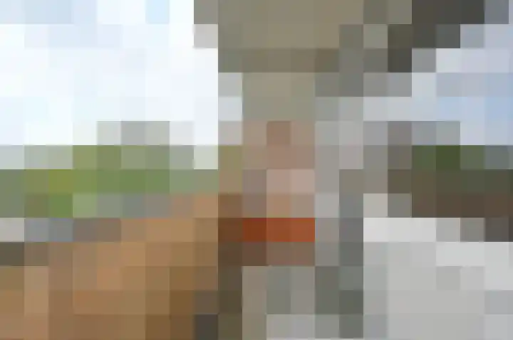 Nobel 80 Mijdrecht thumbnail 10