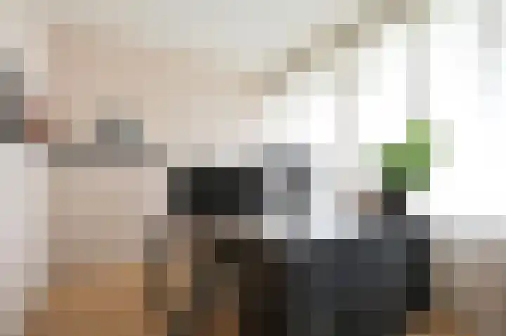 Nobel 80 Mijdrecht thumbnail 17