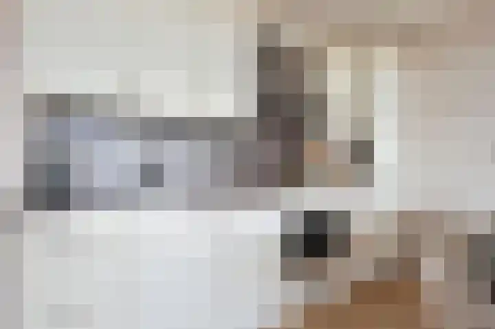Nobel 80 Mijdrecht thumbnail 7