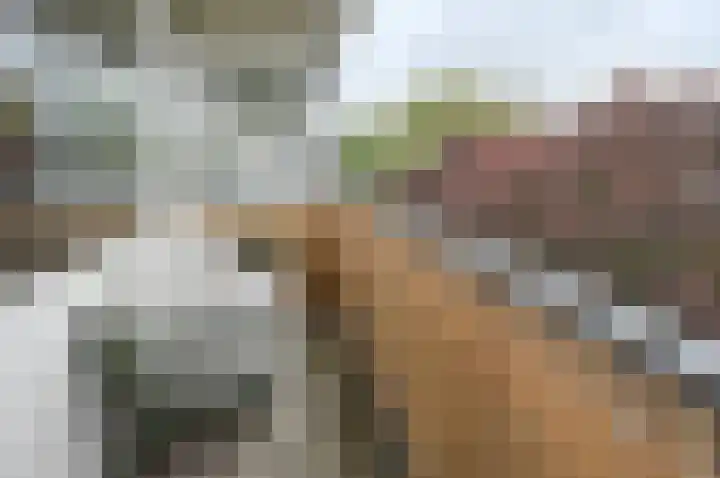 Nobel 80 Mijdrecht thumbnail 9