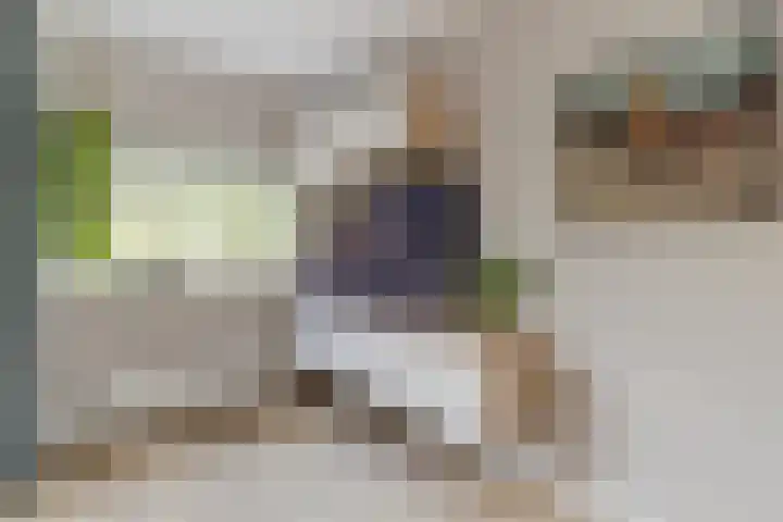 Nobel Hoeve 1 Vleuten thumbnail 10