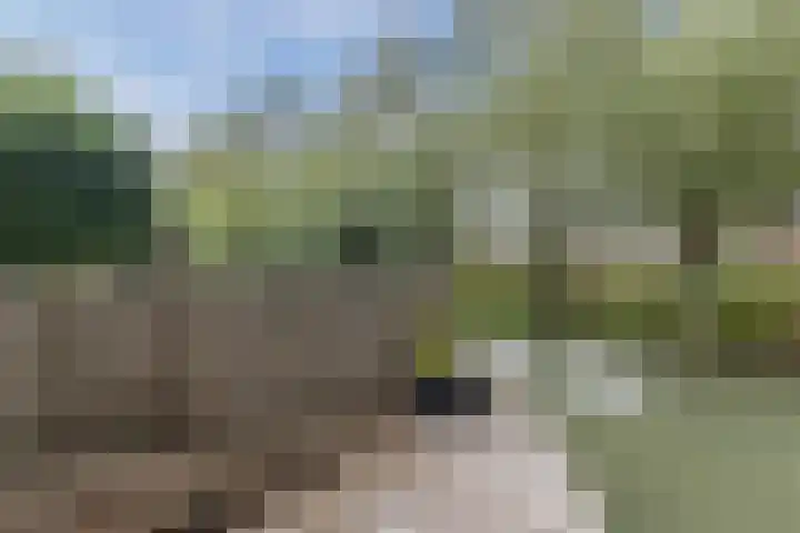 Nobel Hoeve 1 Vleuten thumbnail 15