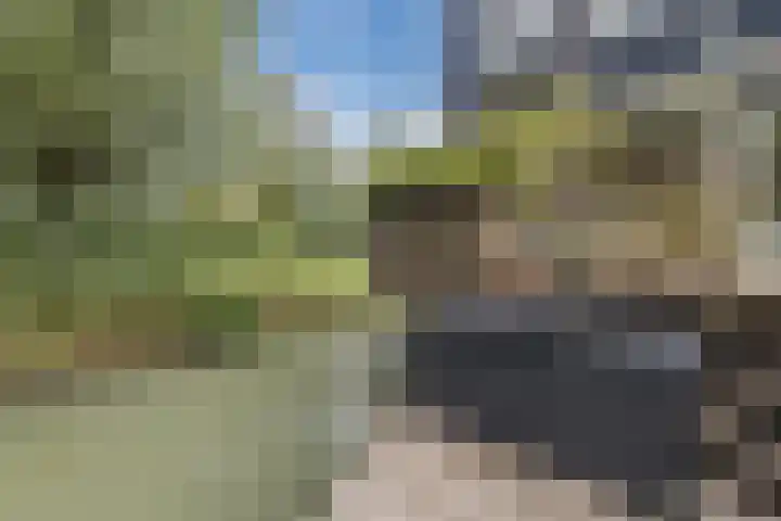 Nobel Hoeve 1 Vleuten thumbnail 17