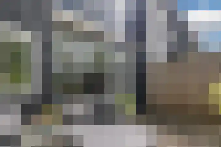 Nobel Hoeve 1 Vleuten thumbnail 18