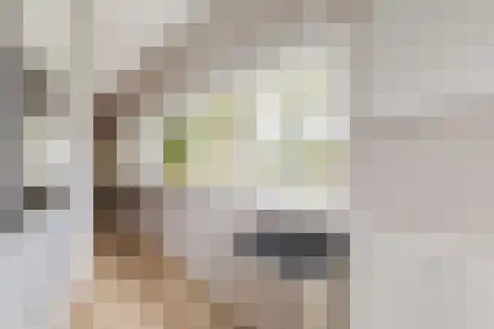 Nobel Hoeve 1 Vleuten thumbnail 25