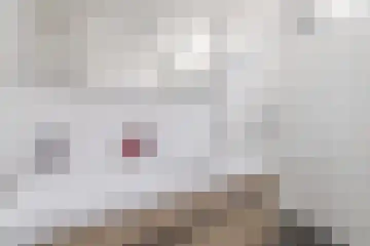 Nobel Hoeve 1 Vleuten thumbnail 31