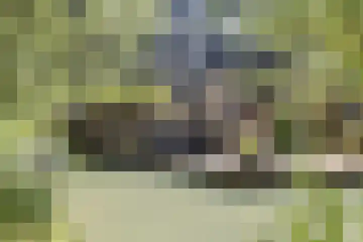 Nobel Hoeve 1 Vleuten thumbnail 4