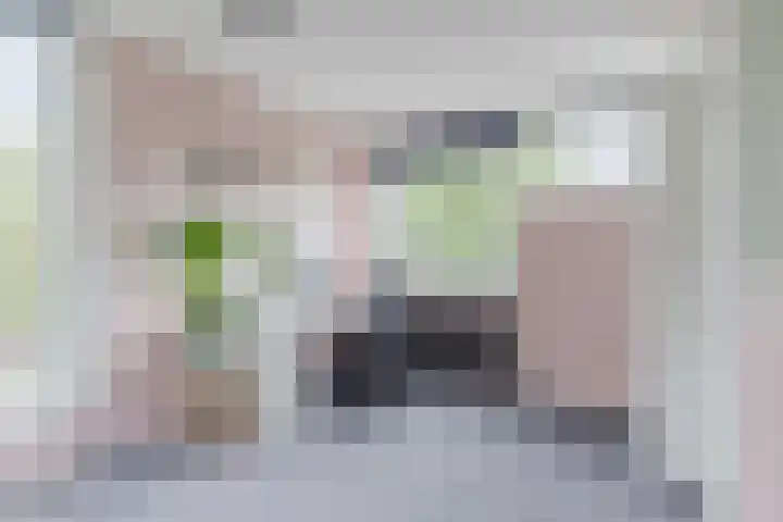 Nobel Hoeve 1 Vleuten thumbnail 44