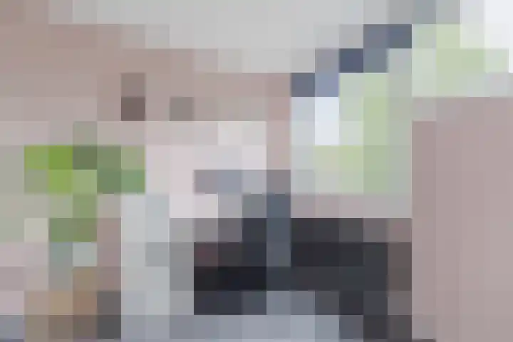 Nobel Hoeve 1 Vleuten thumbnail 45