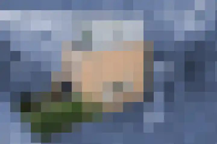 Nobel Hoeve 1 Vleuten thumbnail 5