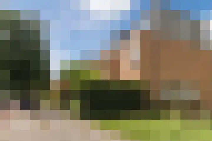 Nobel Hoeve 1 Vleuten thumbnail 54